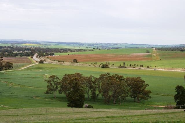 30 Kylie Parade, PUNCHBOWL, Punchbowl - Thumbnail 8