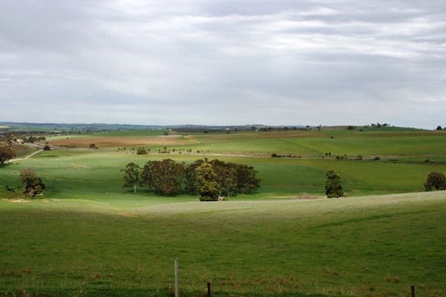 30 Kylie Parade, PUNCHBOWL, Punchbowl - Thumbnail 7