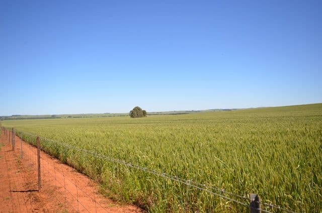 Lots 21-25, 94 Sod Hut Road, Farrell Flat SA 5416, Farrell Flat - Image 1