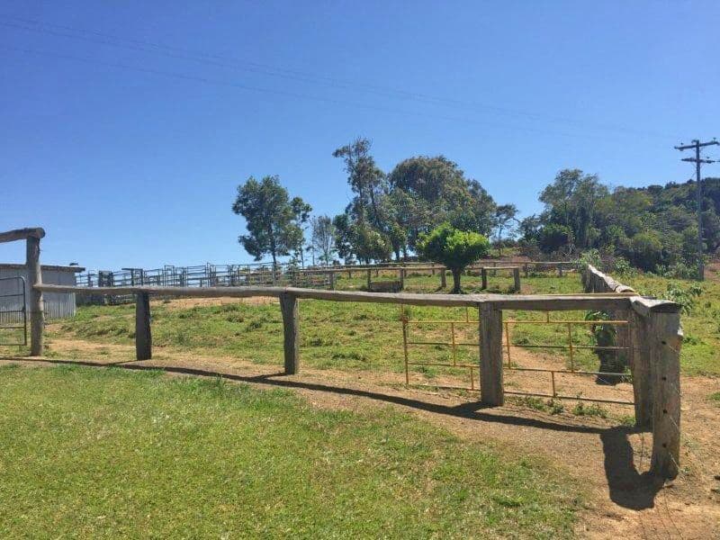 Evelyn QLD 4888, Evelyn - Thumbnail 2