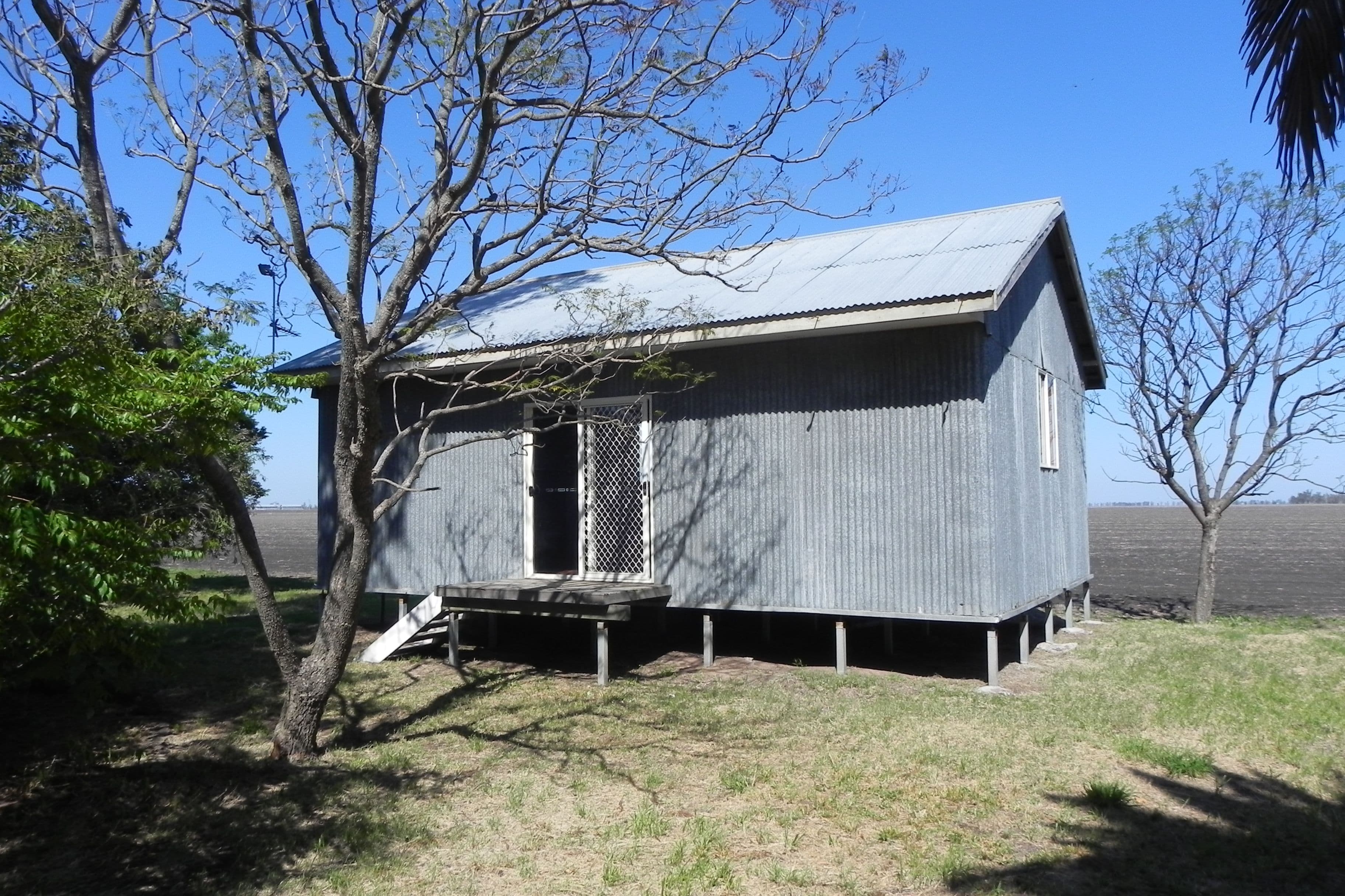 622 Lemontree Road, Lemontree QLD 4357, Lemontree - Thumbnail 4