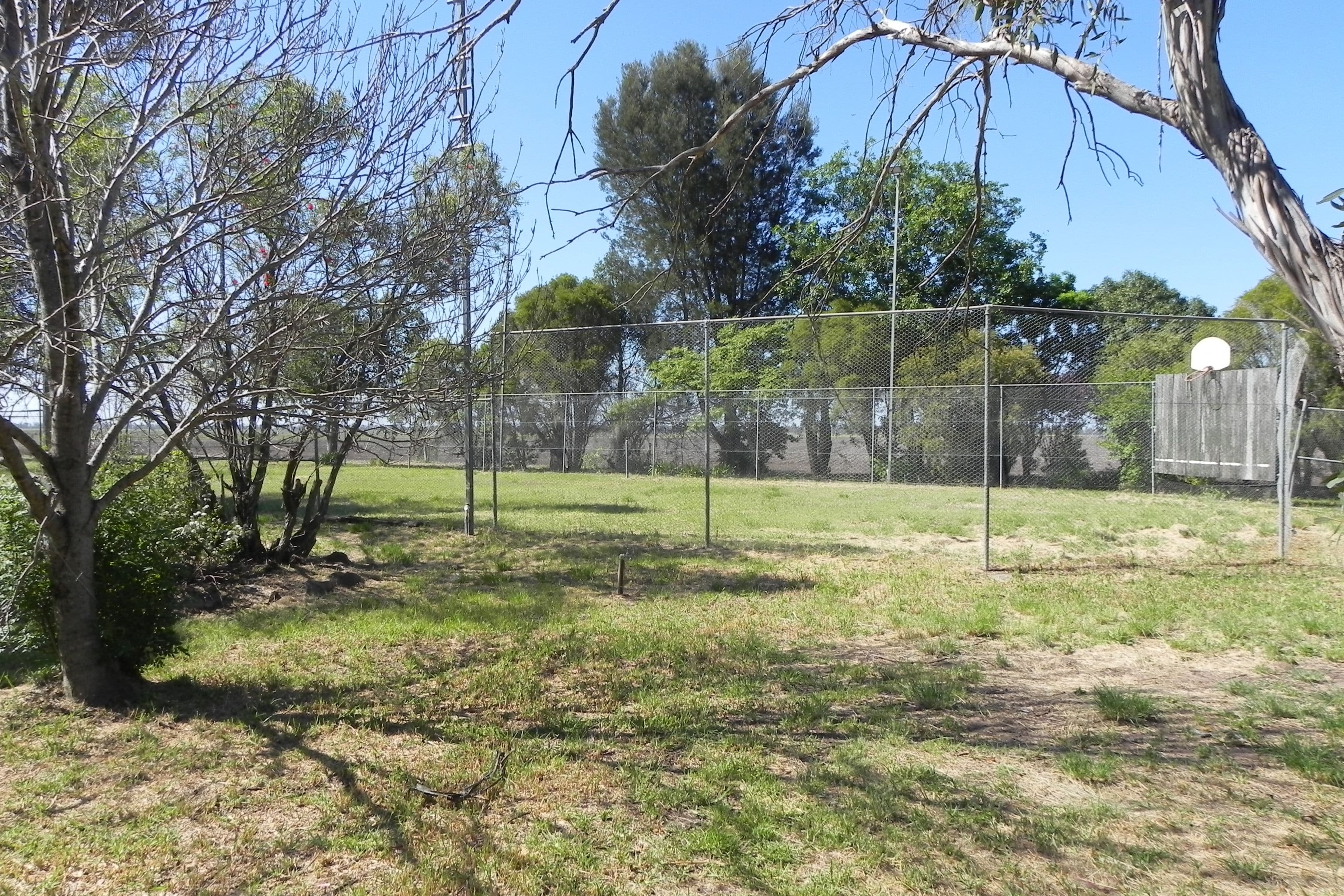 622 Lemontree Road, Lemontree QLD 4357, Lemontree - Thumbnail 3