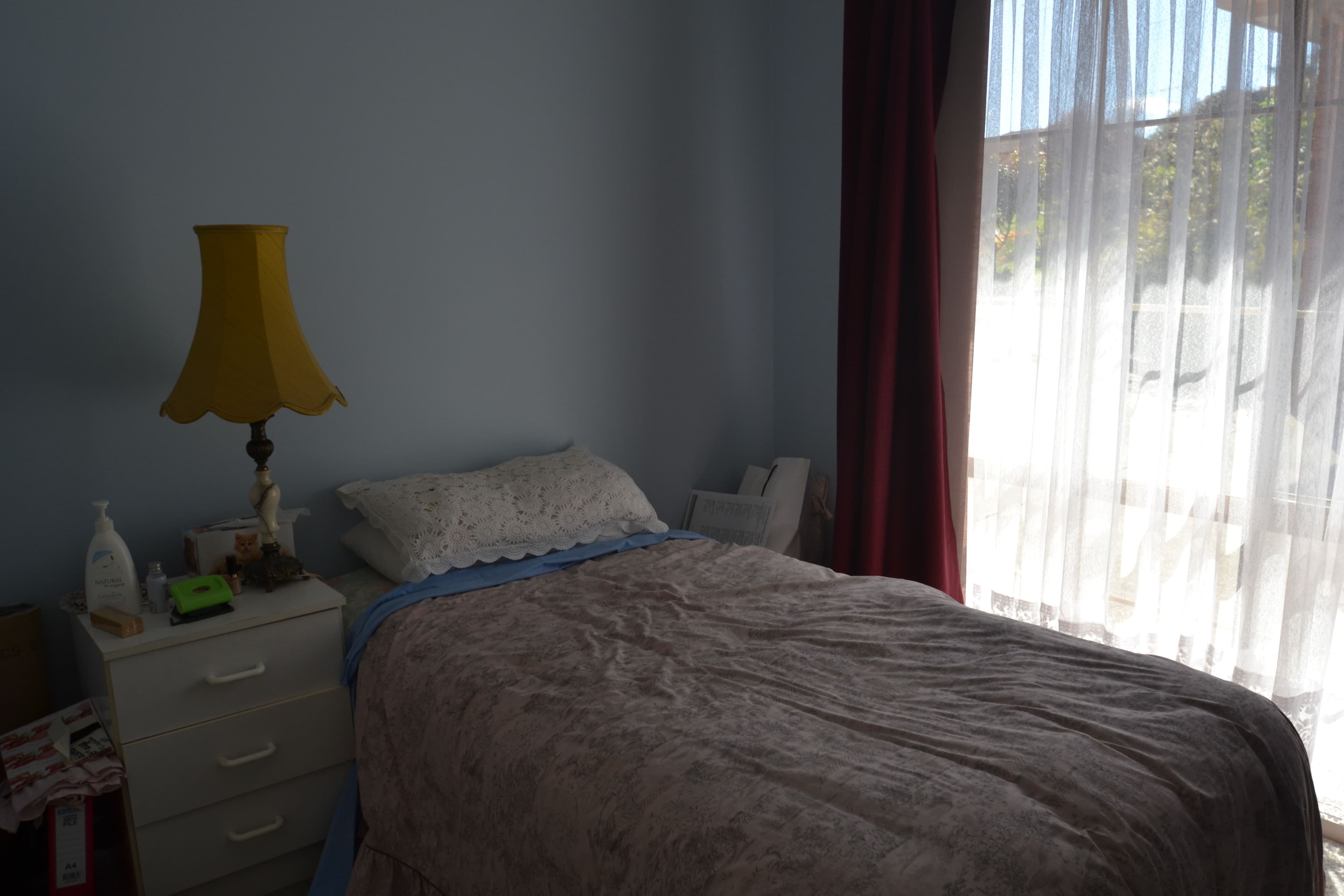 11 Delatite Road, Seymour VIC 3660, Seymour - Thumbnail 6