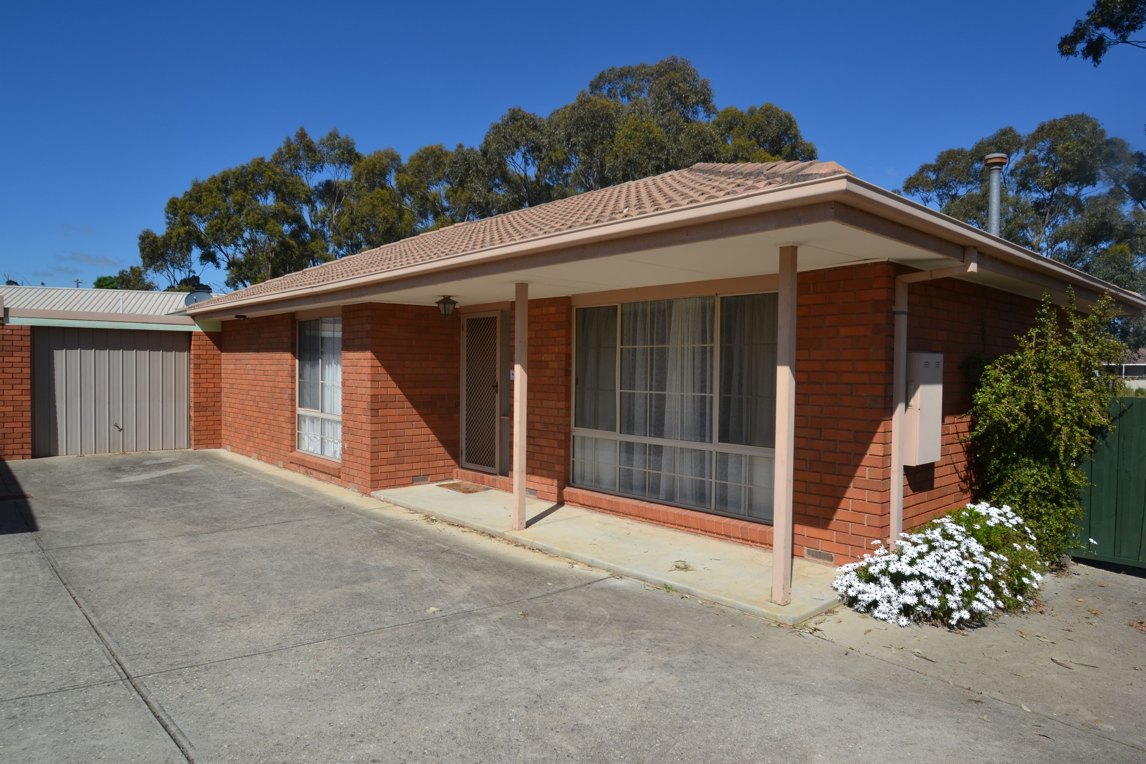 11 Delatite Road, Seymour VIC 3660, Seymour - Image 1