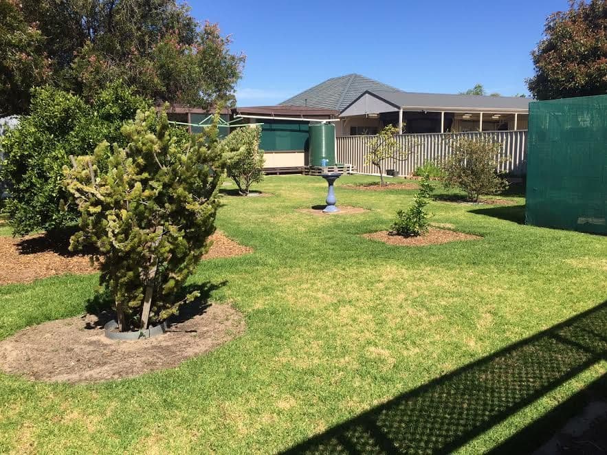 20 Charles Street, Ascot Park SA 5043, Ascot Park - Thumbnail 3