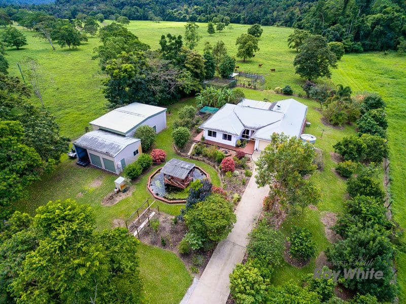 Little Mulgrave QLD 4865, Little Mulgrave - Thumbnail 3