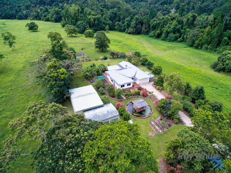 Little Mulgrave QLD 4865, Little Mulgrave - Thumbnail 6