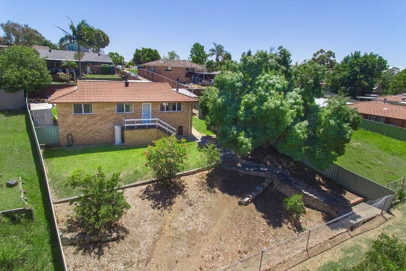32 Chasselas Avenue, Eschol Park - Thumbnail 3
