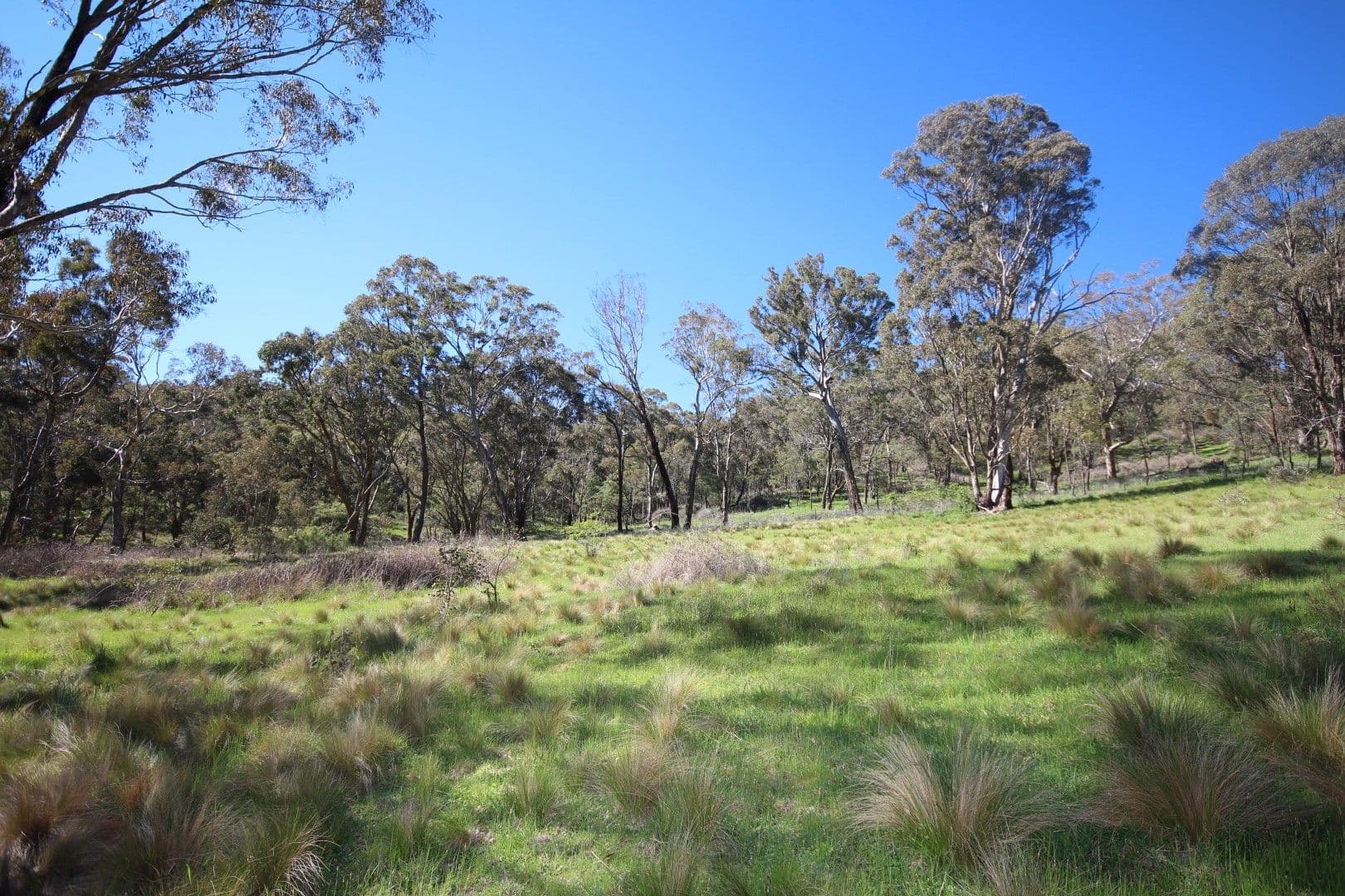 982 Lowes Mt Road, Oberon NSW 2787, Oberon - Thumbnail 2