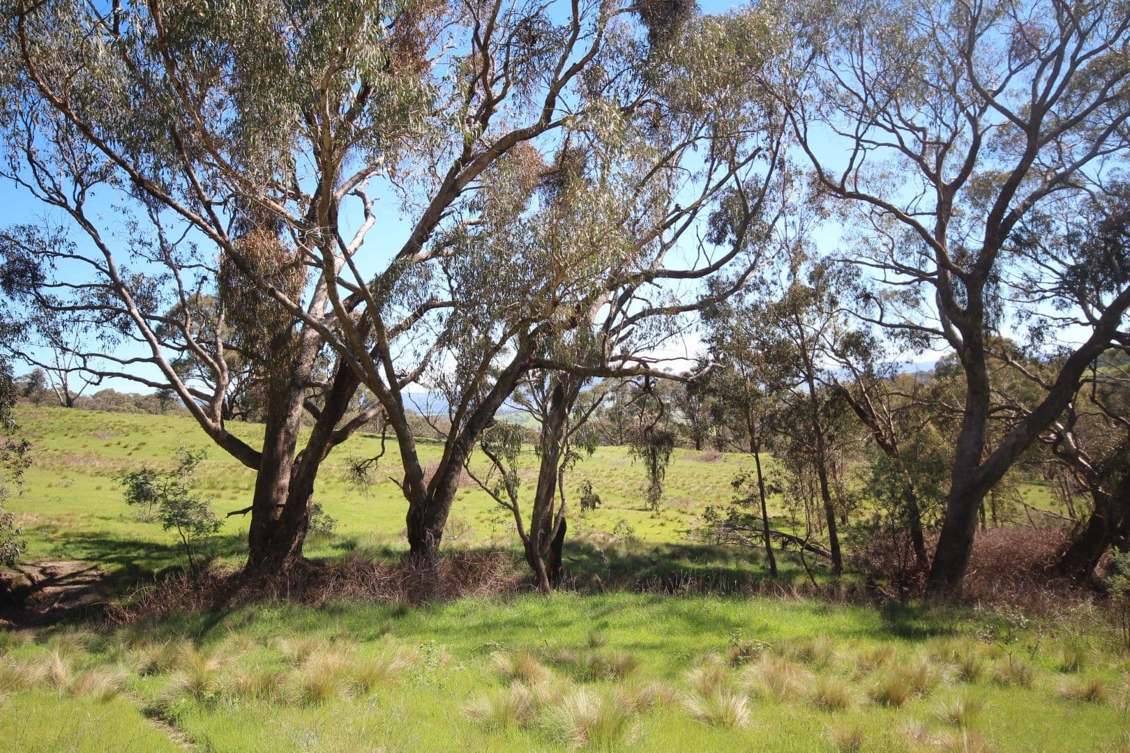 982 Lowes Mt Road, Oberon NSW 2787, Oberon - Thumbnail 4