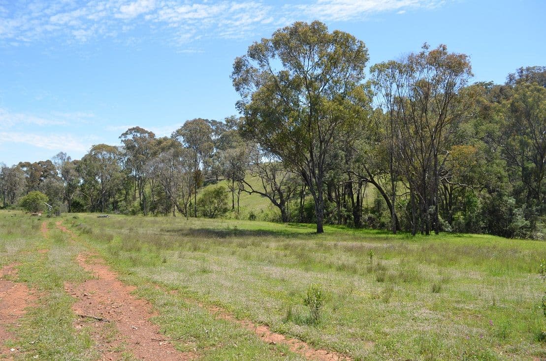 Bora Bora Link Road, Dinoga NSW 2404, Dinoga - Thumbnail 4