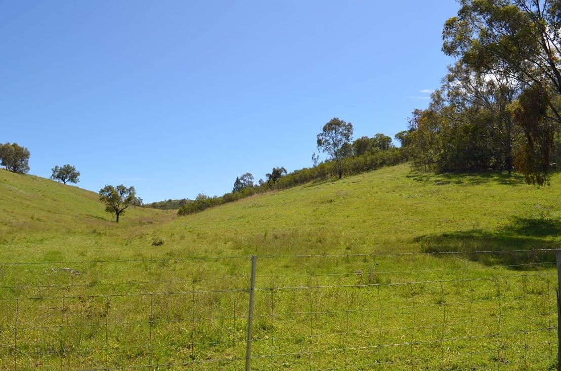 Bora Bora Link Road, Dinoga NSW 2404, Dinoga - Thumbnail 2