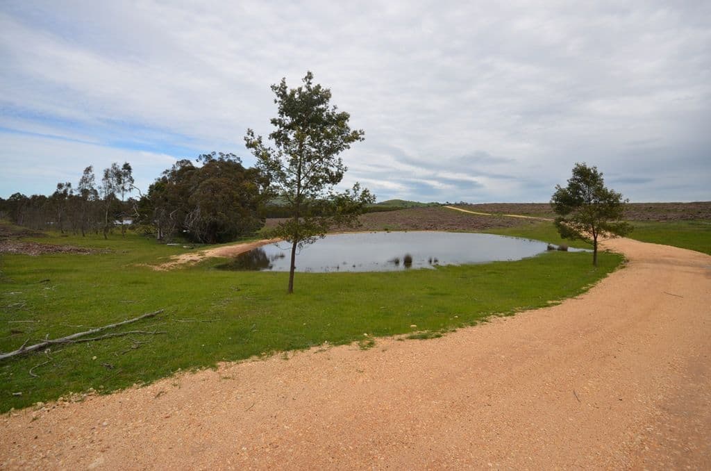 "Bradshaw" Western Highway, Buangor VIC 3375, Buangor - Thumbnail 4