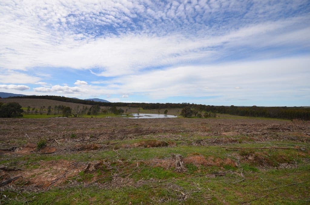 "Bradshaw" Western Highway, Buangor VIC 3375, Buangor - Thumbnail 2
