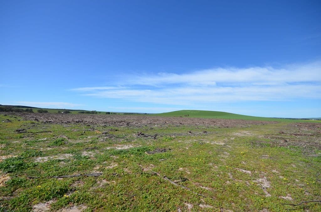 "Molloy" Lot 2 Skipton Road, Beaufort VIC 3373, Beaufort - Thumbnail 3