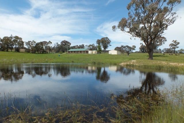 1305 Carlwood Road, O'Connell NSW 2795, O'Connell - Image 1