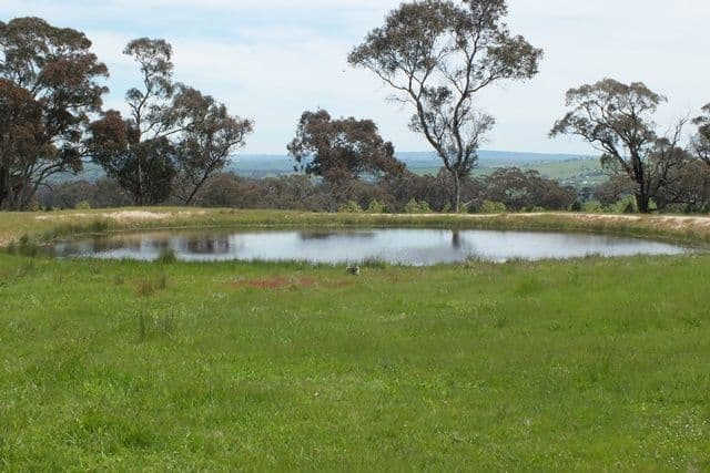 1305 Carlwood Road, O'Connell NSW 2795, O'Connell - Thumbnail 4