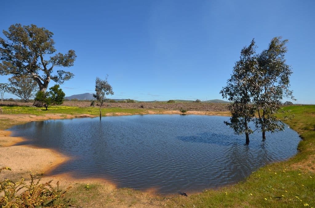 Allender North Buangor Ben-Navis Road, Mount Cole Creek VIC 3377, Mount Cole Creek - Image 1