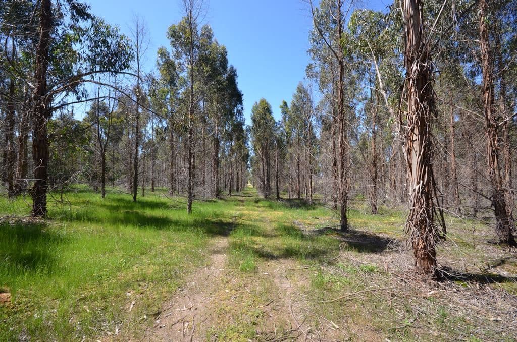 Allender North Buangor Ben-Navis Road, Mount Cole Creek VIC 3377, Mount Cole Creek - Thumbnail 6