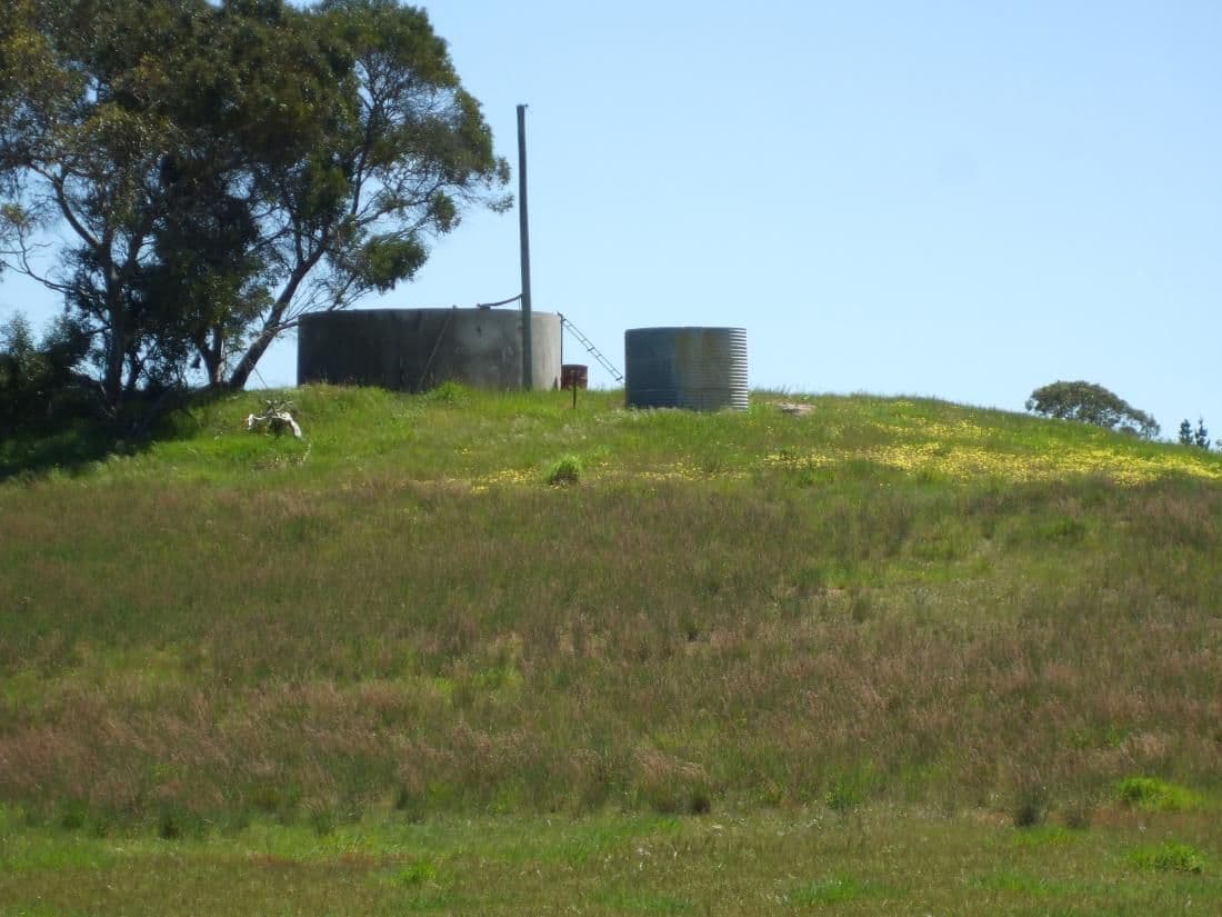 402 Broadview Road, Western Flat SA 5268, Western Flat - Thumbnail 6