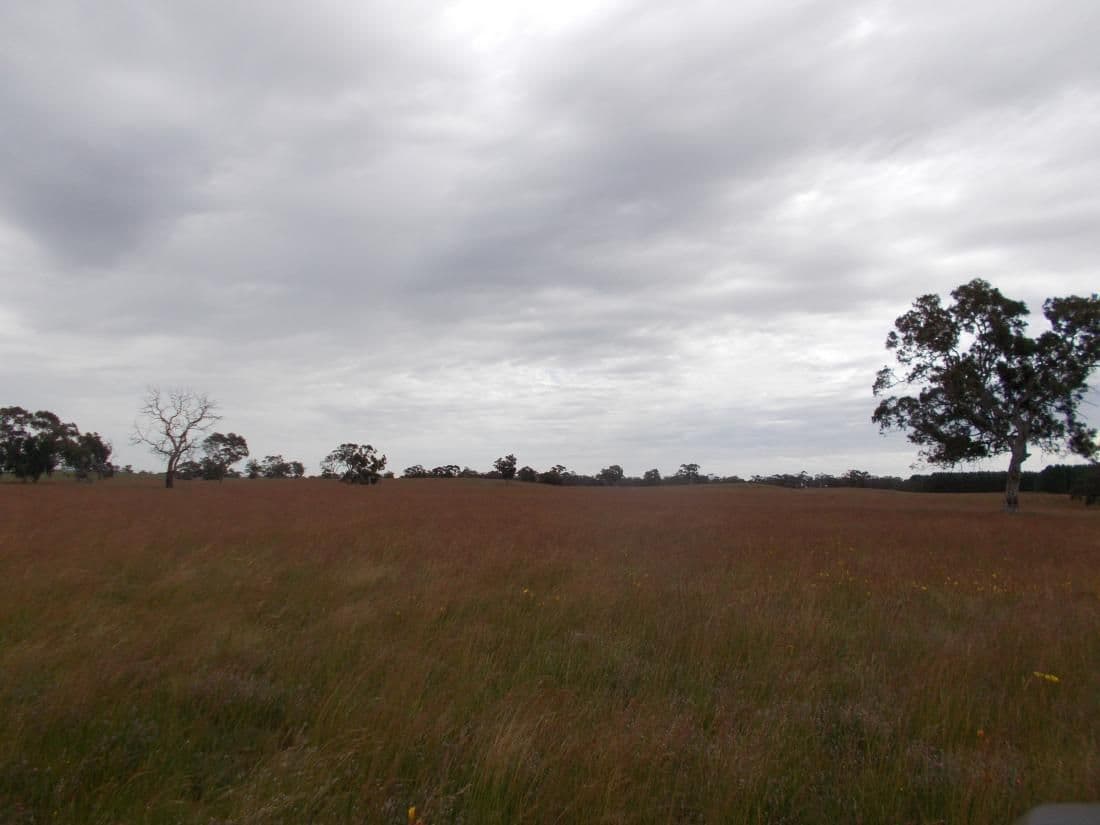 402 Broadview Road, Western Flat SA 5268, Western Flat - Thumbnail 8