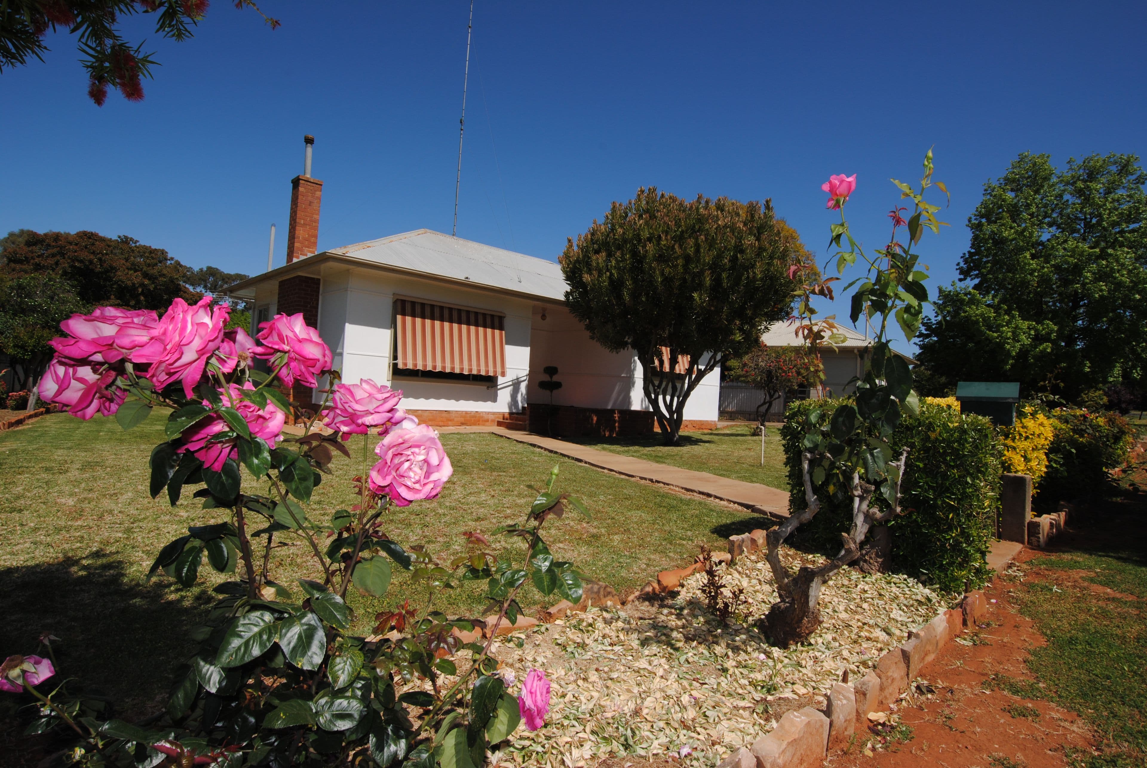 32 Curtin Street, Griffith - Thumbnail 6