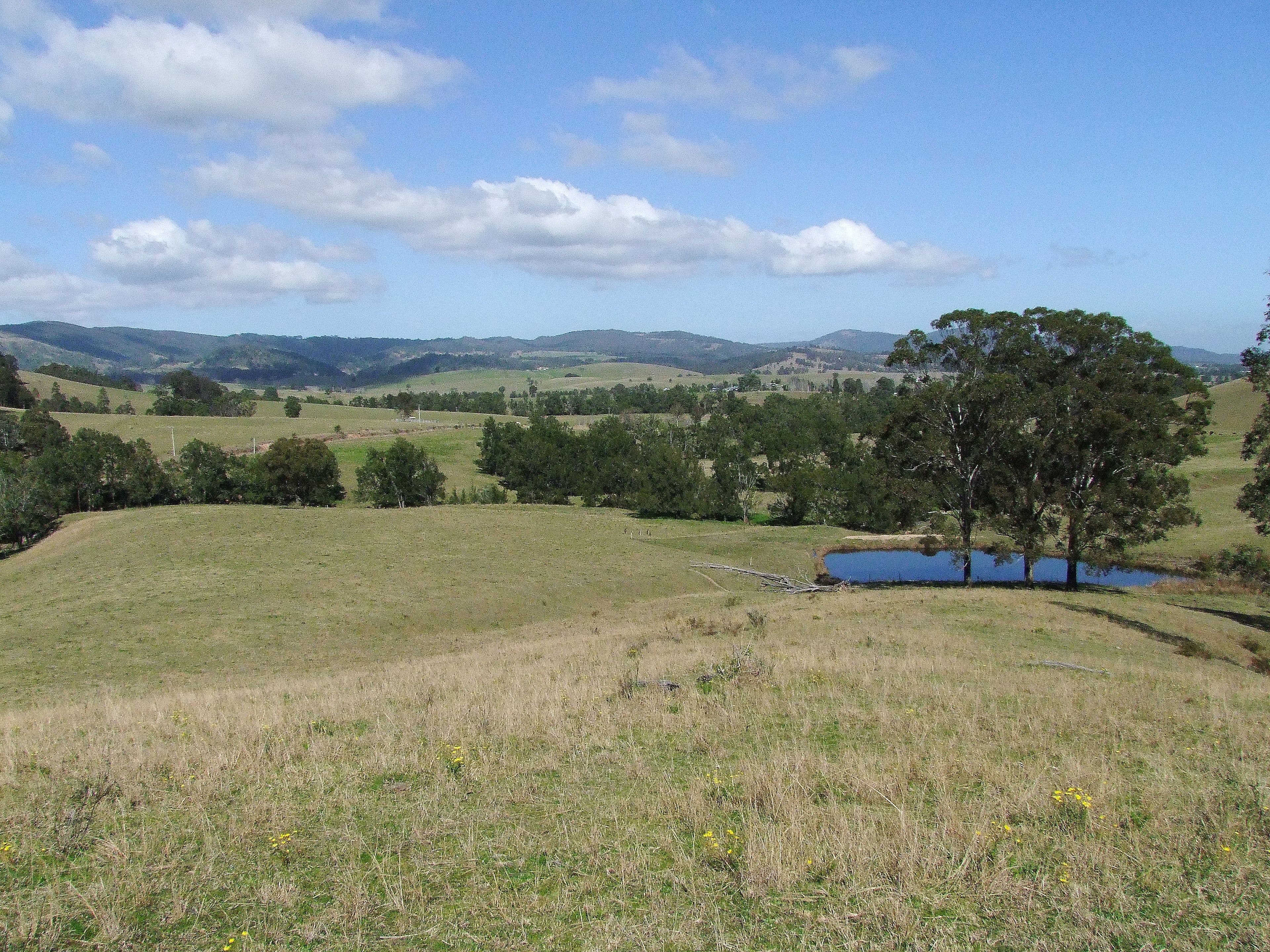 GLENDON BROOK NSW 2330, Glendon Brook - Image 1