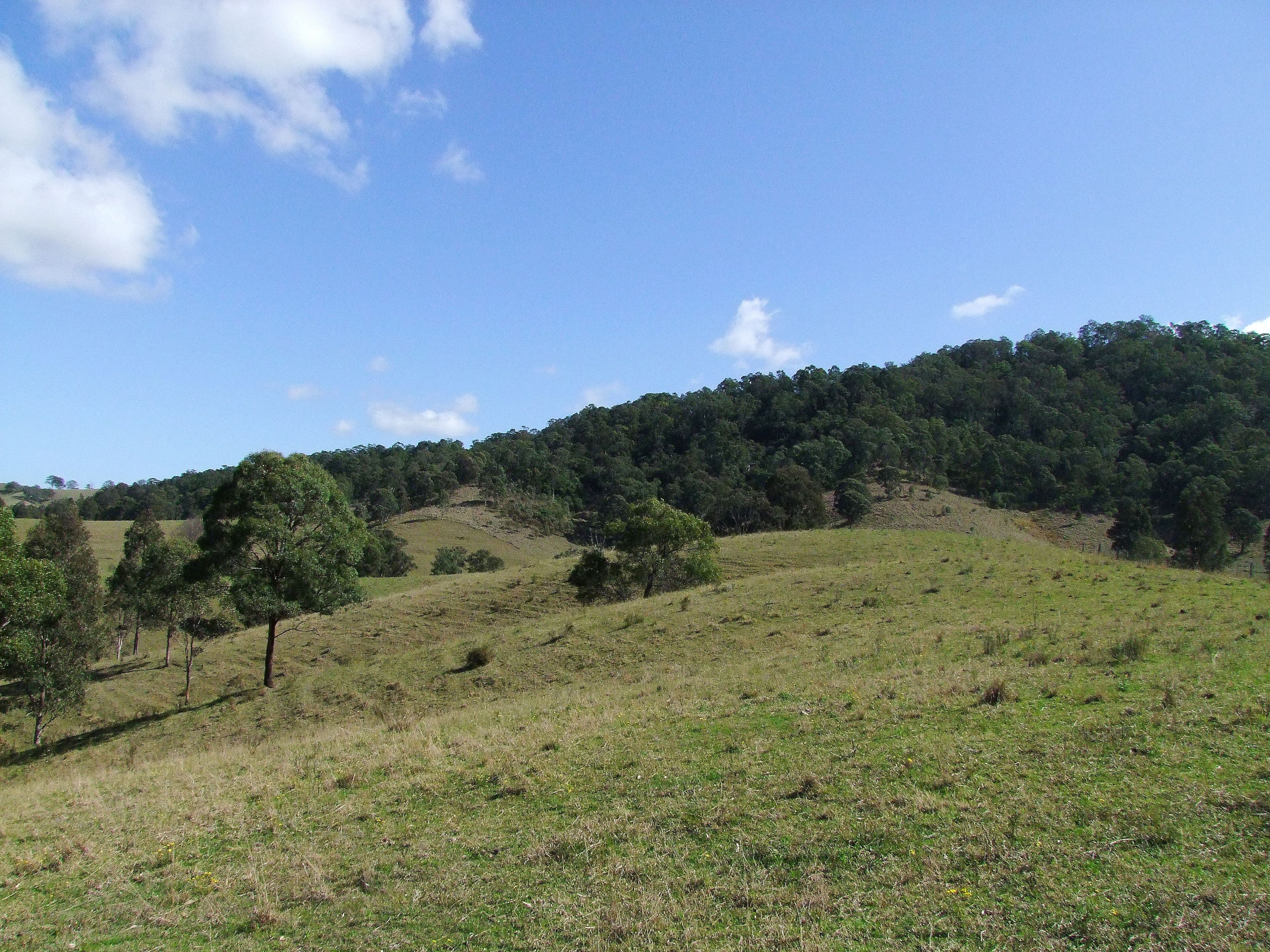 Gresford NSW 2311, East Gresford - Thumbnail 8