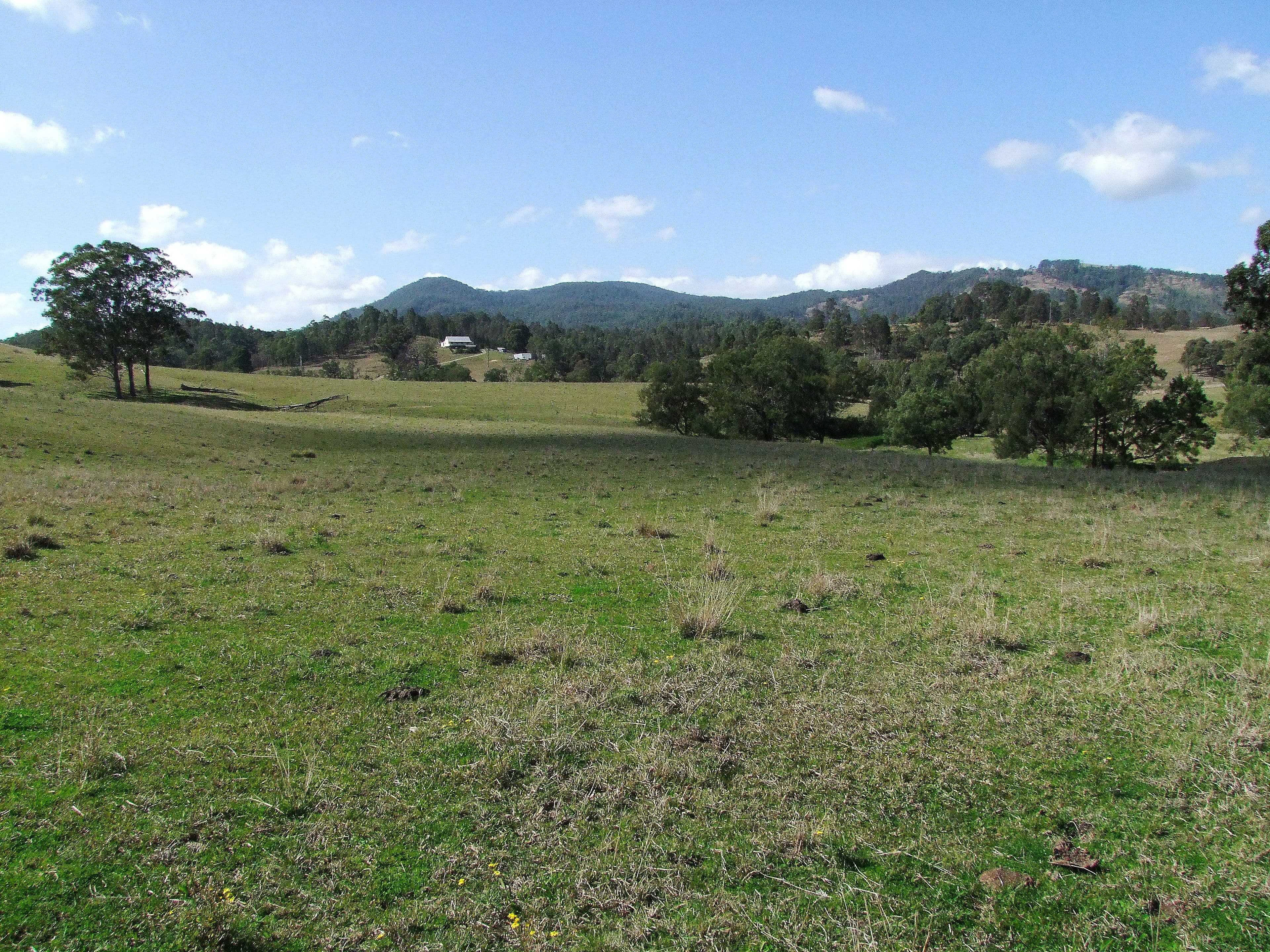 Gresford NSW 2311, East Gresford - Thumbnail 5