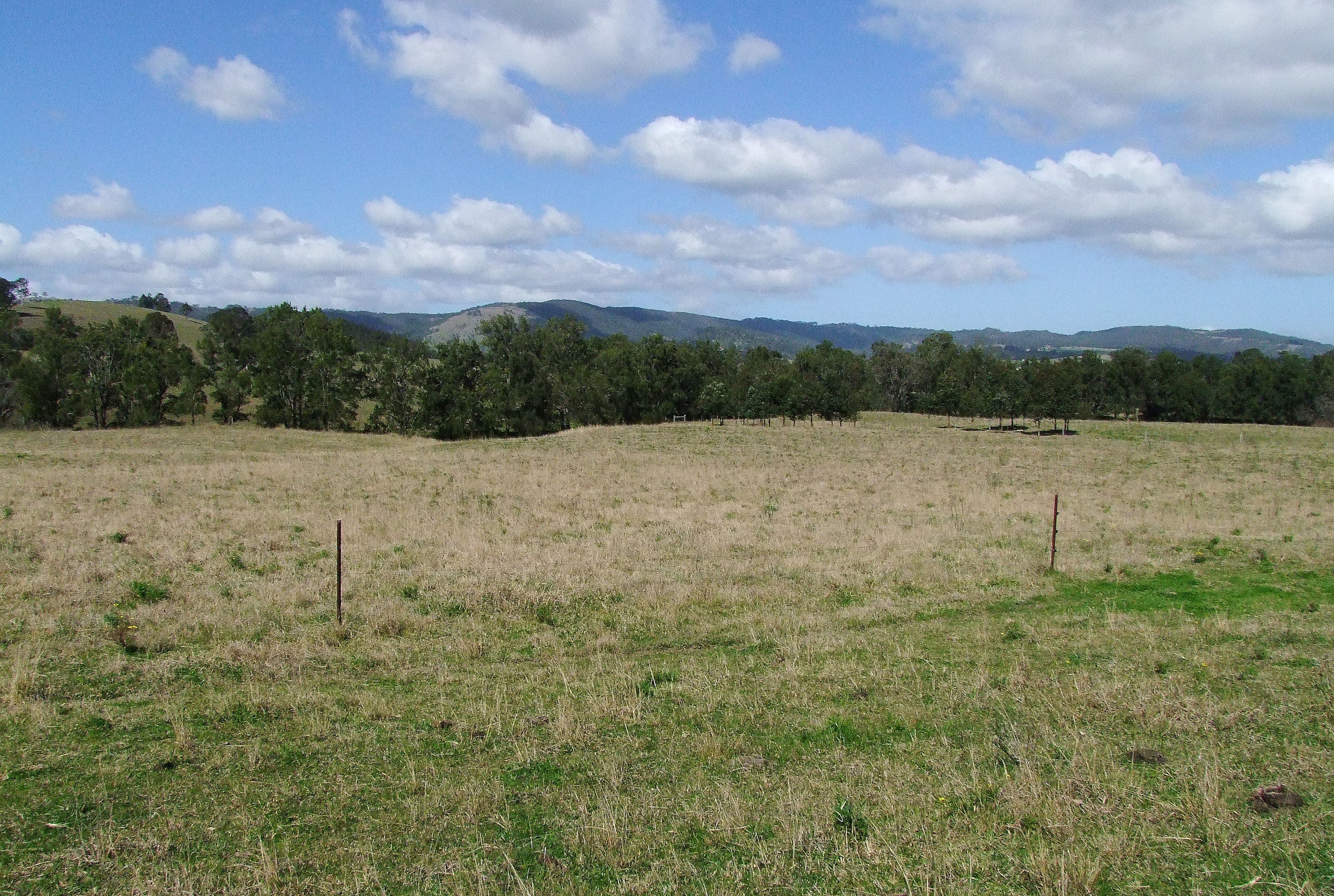 Gresford NSW 2311, East Gresford - Thumbnail 3