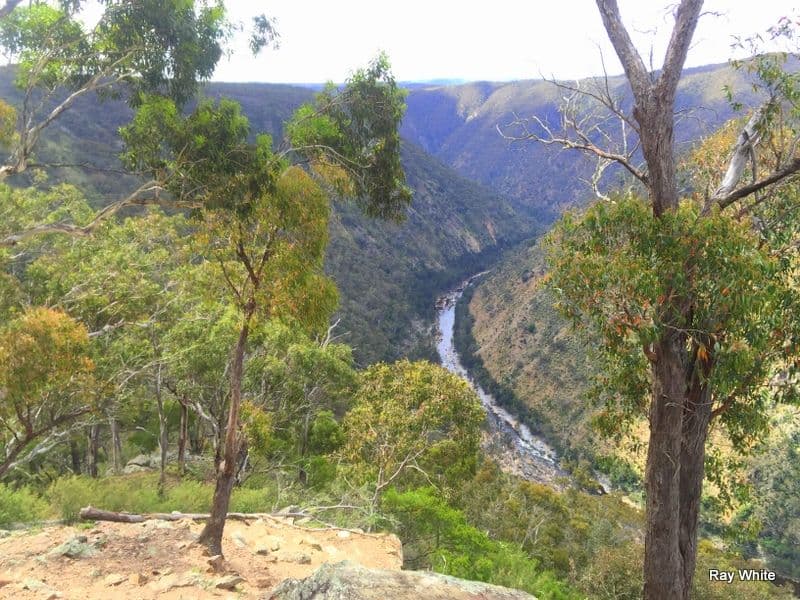 38 Mckane Road, Windellama NSW 2580, Windellama - Thumbnail 2