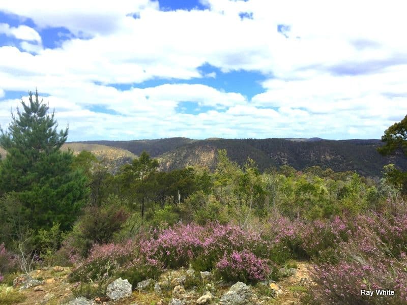 38 Mckane Road, Windellama NSW 2580, Windellama - Thumbnail 4