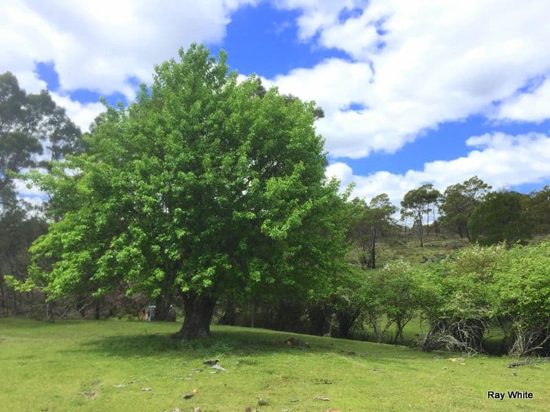 38 Mckane Road, Windellama NSW 2580, Windellama - Thumbnail 7