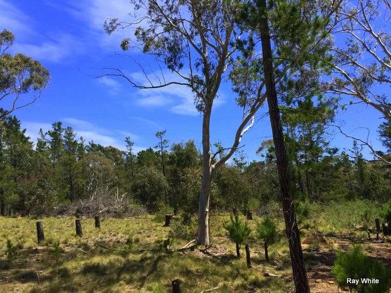 160 Nerriga Road, Braidwood NSW 2622, Braidwood - Thumbnail 5