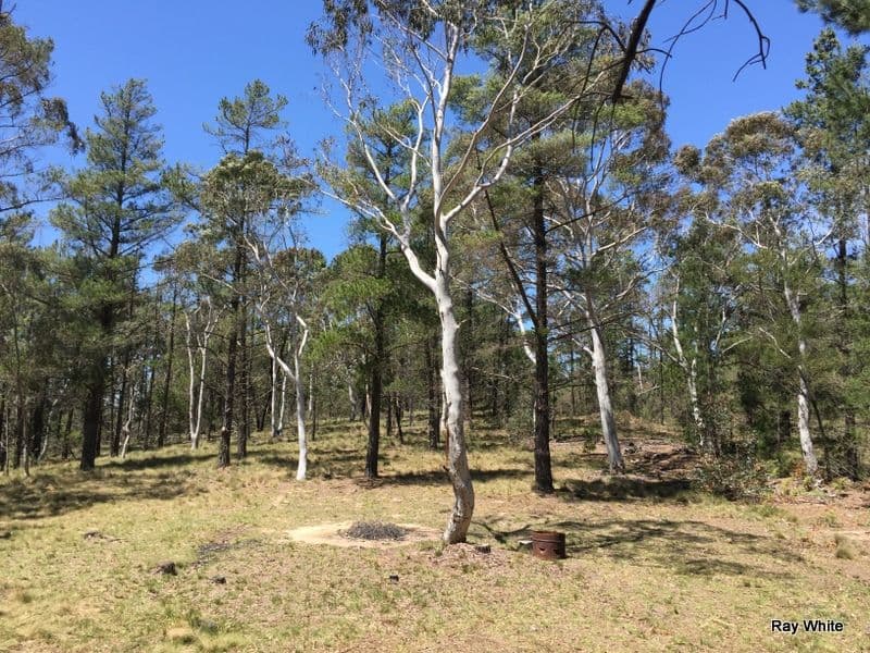 160 Nerriga Road, Braidwood NSW 2622, Braidwood - Image 1
