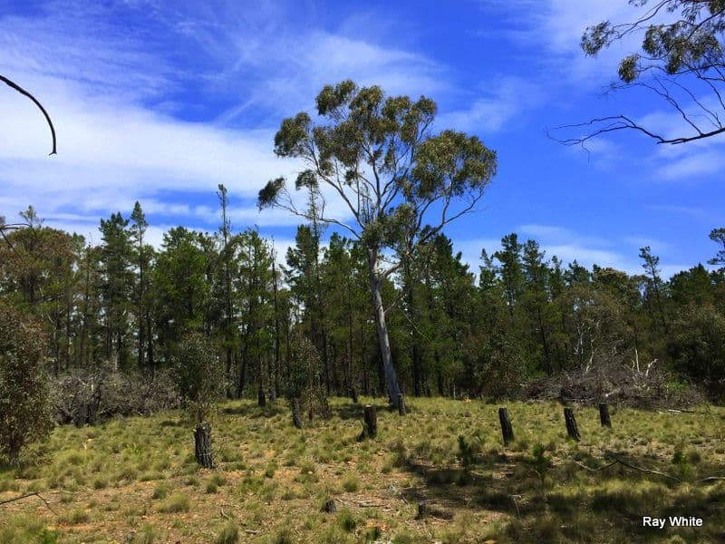 160 Nerriga Road, Braidwood NSW 2622, Braidwood - Thumbnail 6