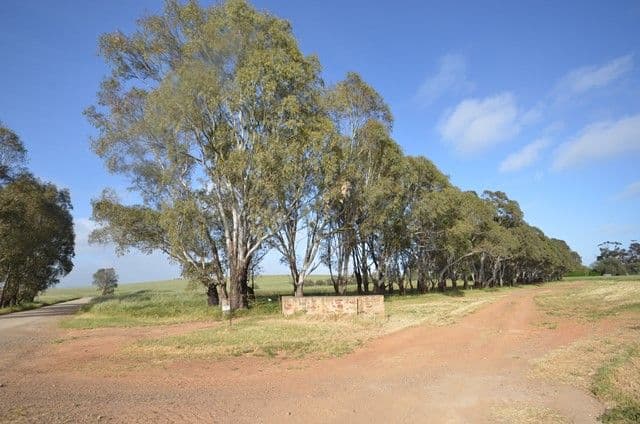 "Toringa" Toringa Road, Farrell Flat SA 5416, Farrell Flat - Thumbnail 8