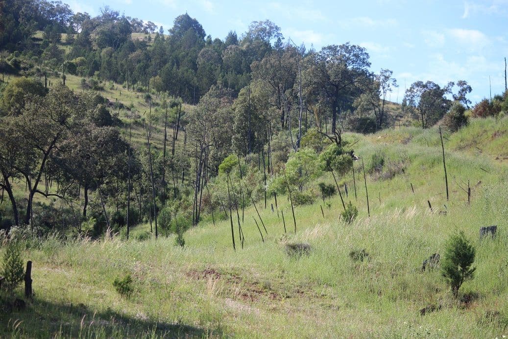 Allawah Copeton Dam Road, Bingara NSW 2404, Bingara - Thumbnail 6