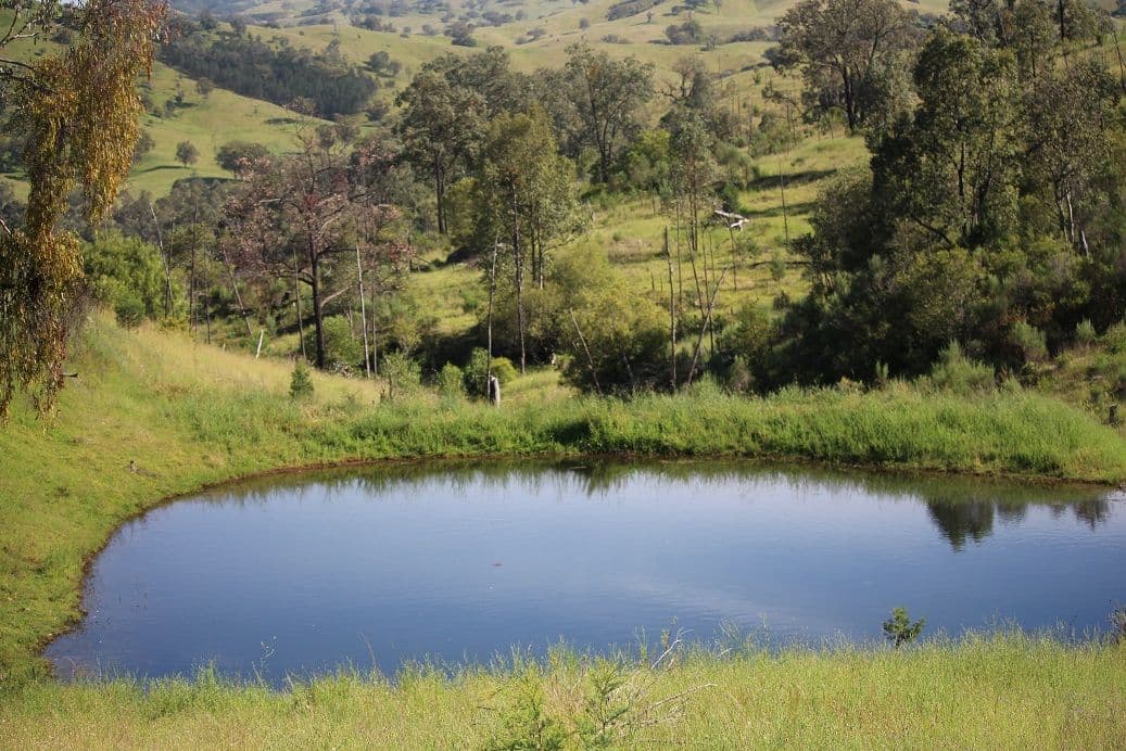 Allawah Copeton Dam Road, Bingara NSW 2404, Bingara - Thumbnail 7