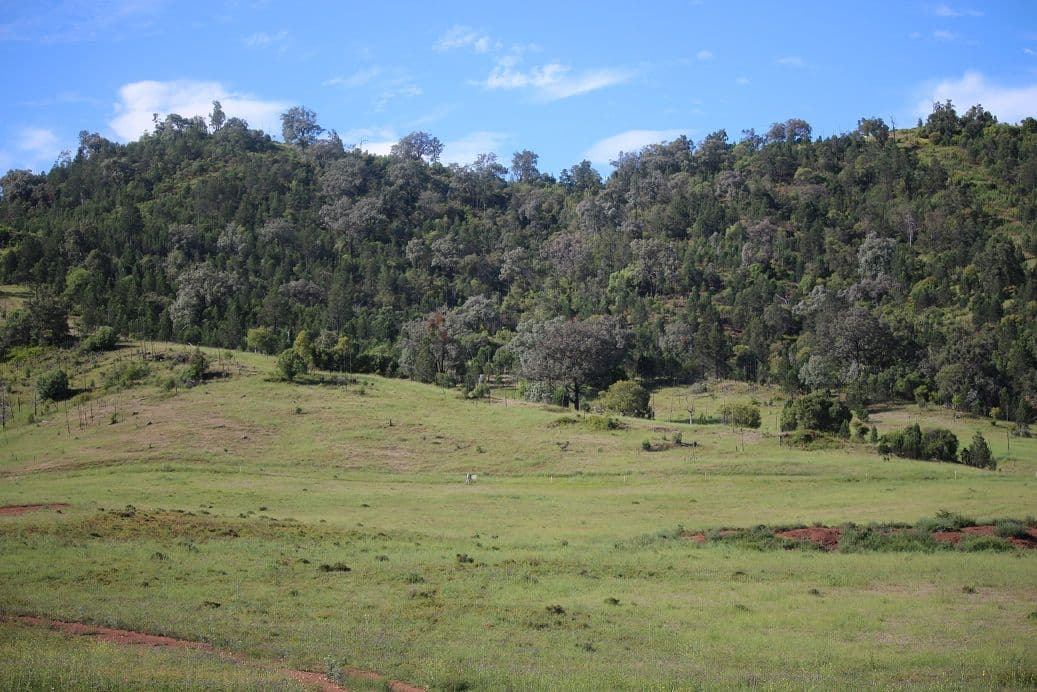 Allawah Copeton Dam Road, Bingara NSW 2404, Bingara - Thumbnail 5