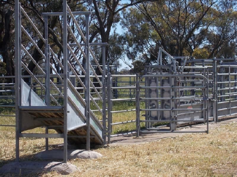 1036 Frances Road, Bordertown South SA 5268, Bordertown South - Thumbnail 8