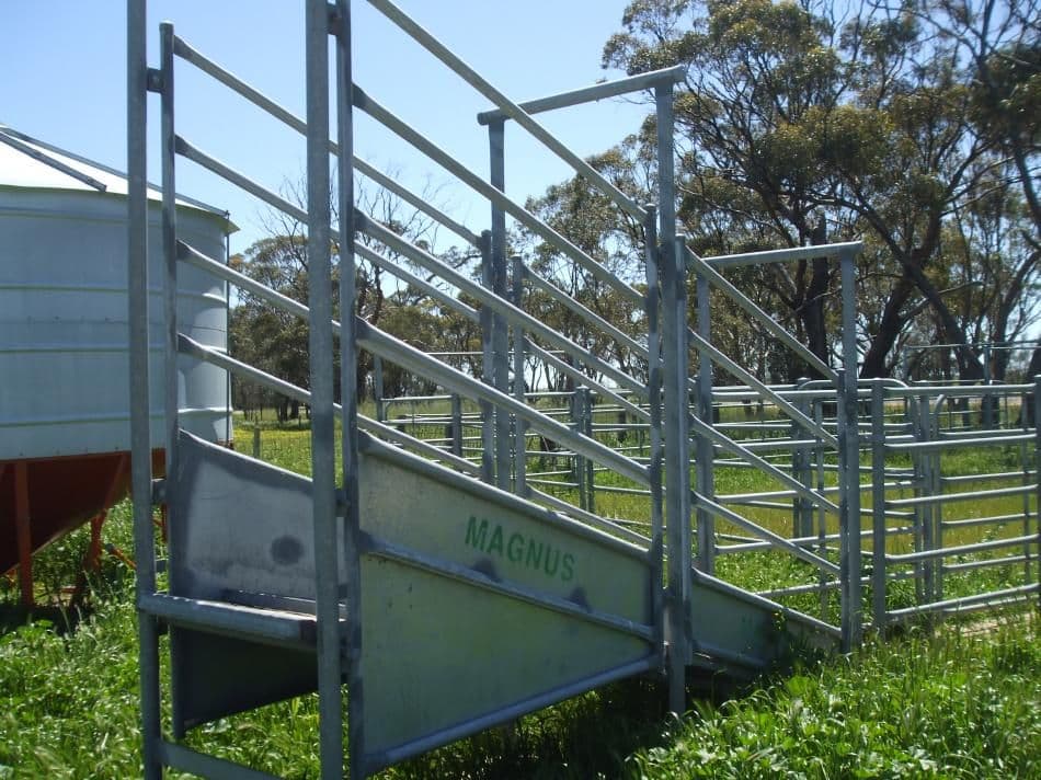 1036 Frances Road, Bordertown South SA 5268, Bordertown South - Thumbnail 6