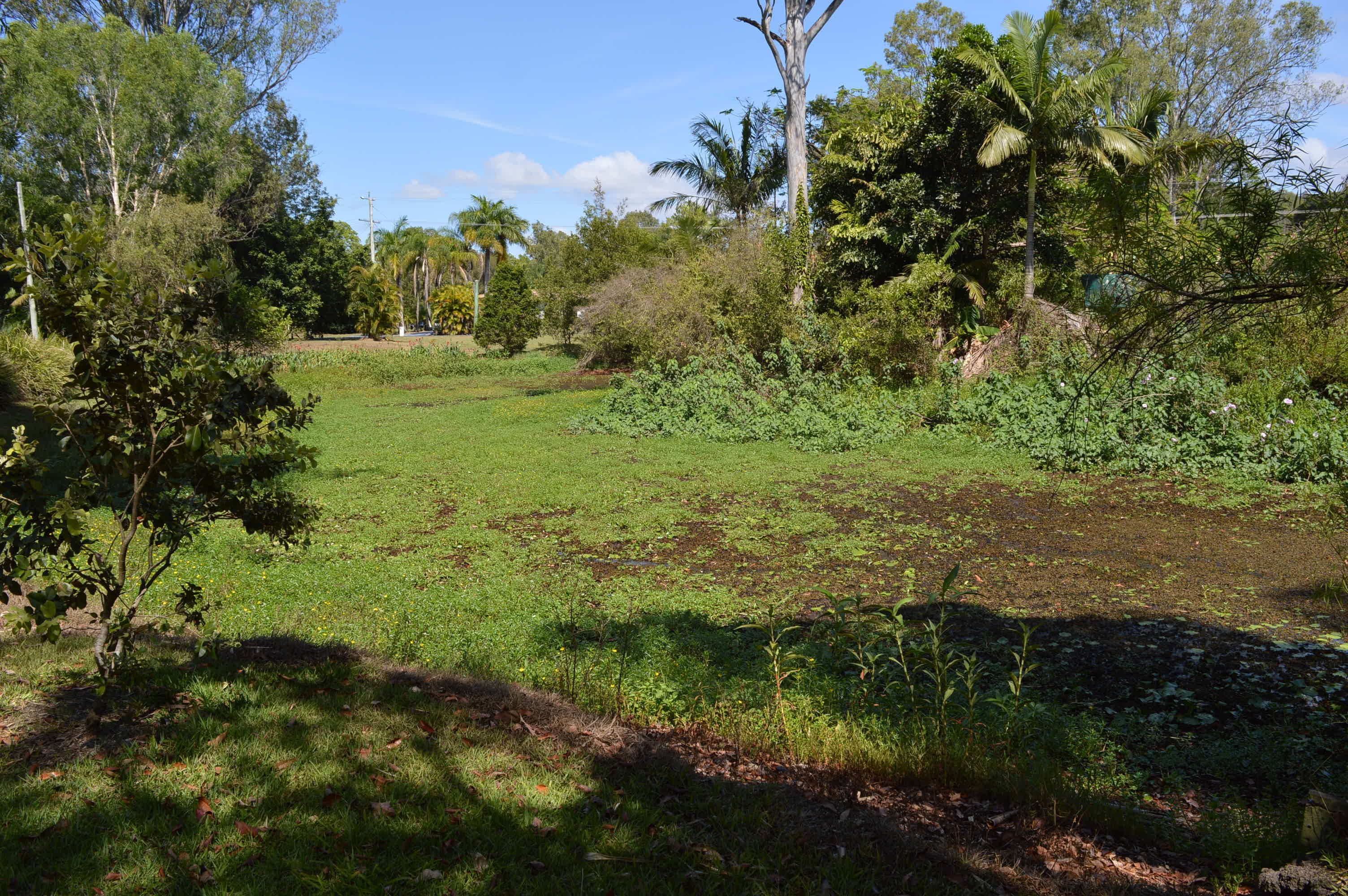 23 Mooloolah Meadows Drive, Mooloolah Valley QLD 4553, Mooloolah Valley - Thumbnail 5