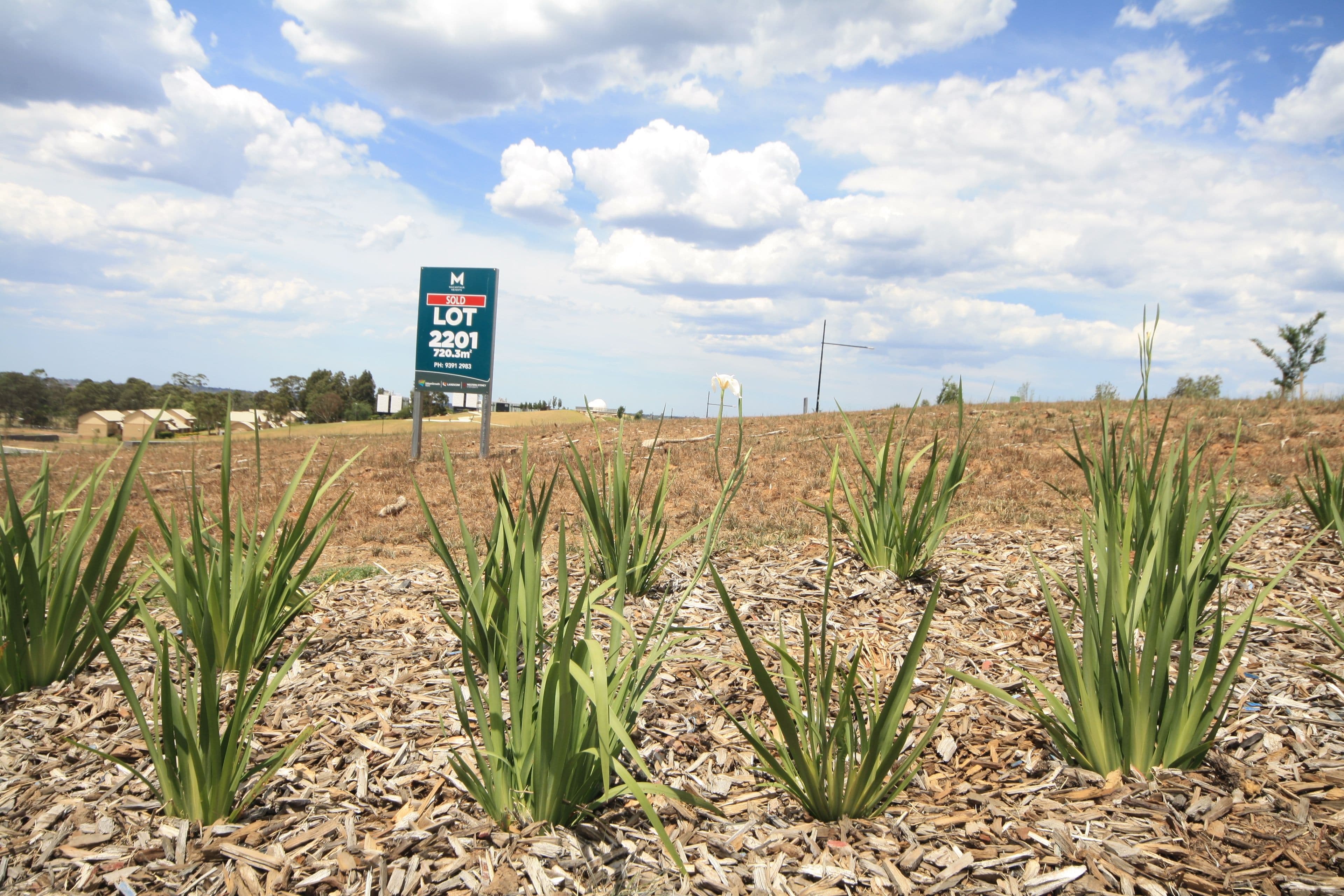 Lot 2201 Mahoney Drive, Campbelltown NSW 2560, Campbelltown - Thumbnail 2