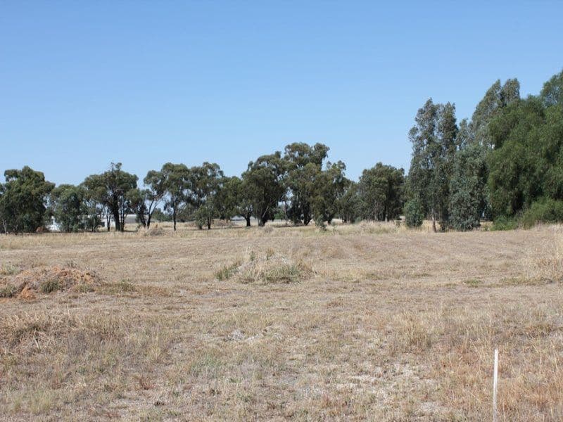 162-164 Kennedy Street, Howlong NSW 2643, Howlong - Image 1