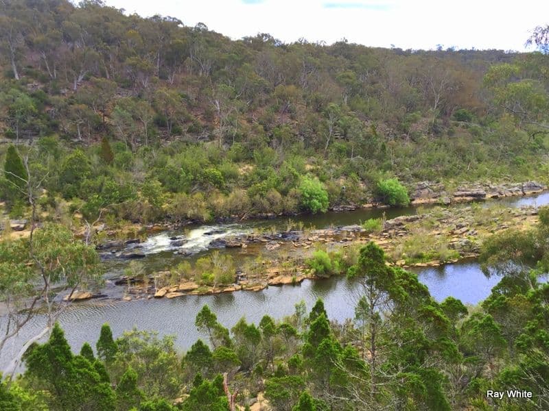 668 Oallen Ford Road, Braidwood NSW 2622, Braidwood - Thumbnail 6