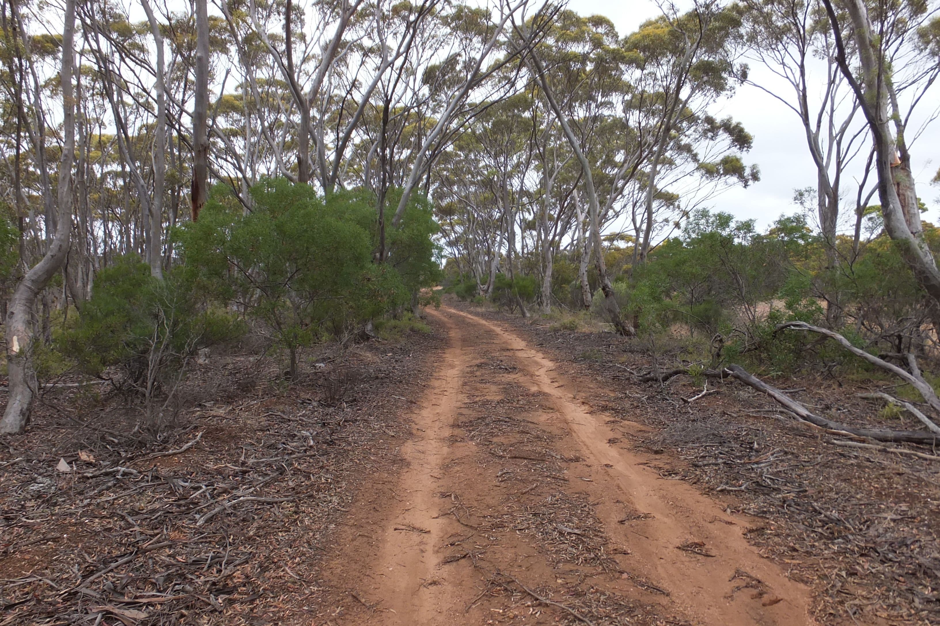 L615 off Hopetoun Ravensthorpe Road, Ravensthorpe WA 6346, Ravensthorpe - Thumbnail 4