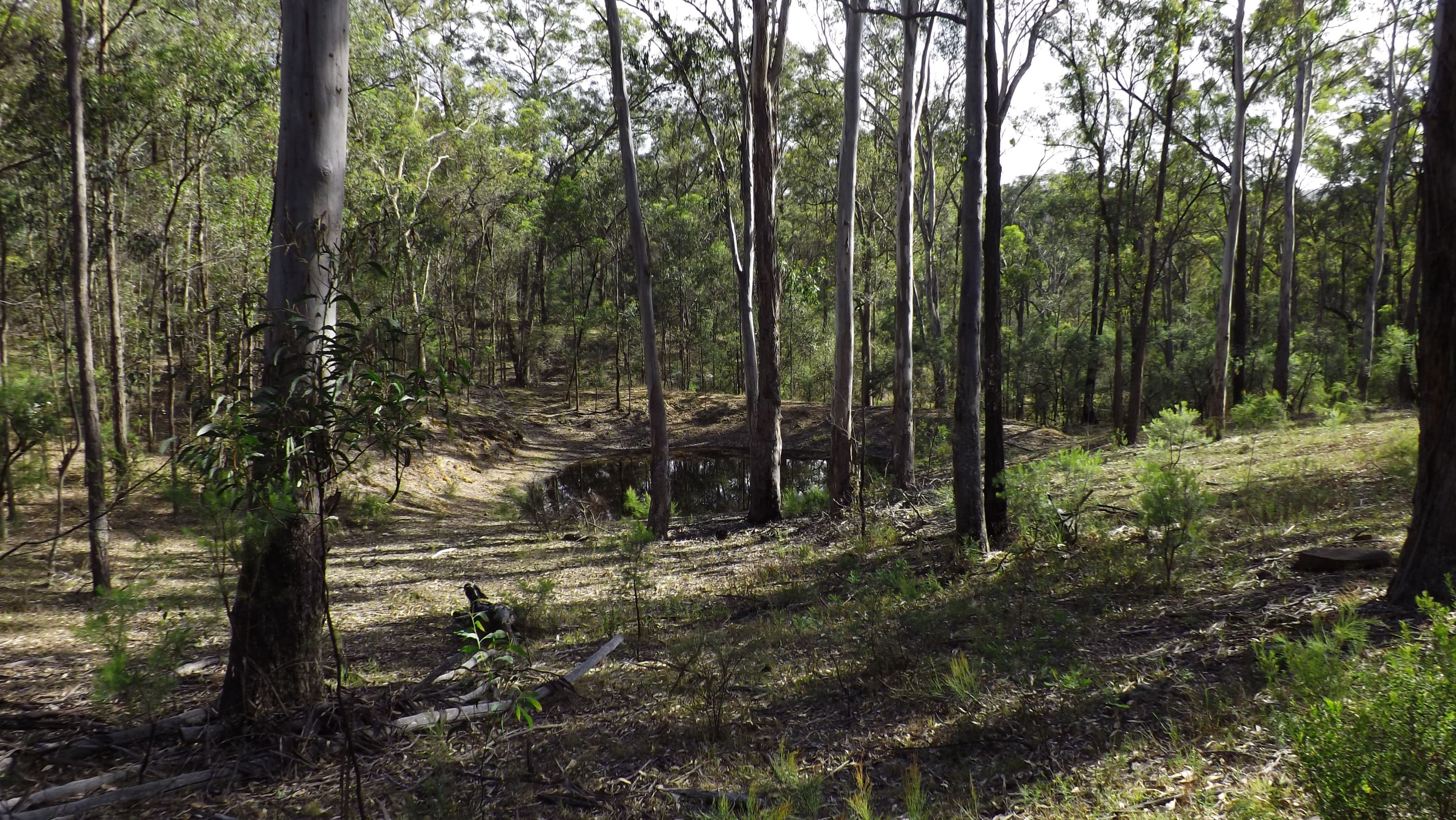 Lot 114 Commission Road, Howes Valley NSW 2330, Howes Valley - Thumbnail 3