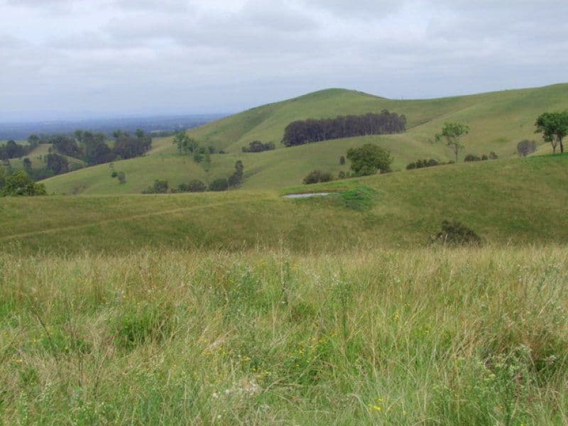 Singleton NSW 2330, Singleton - Thumbnail 3