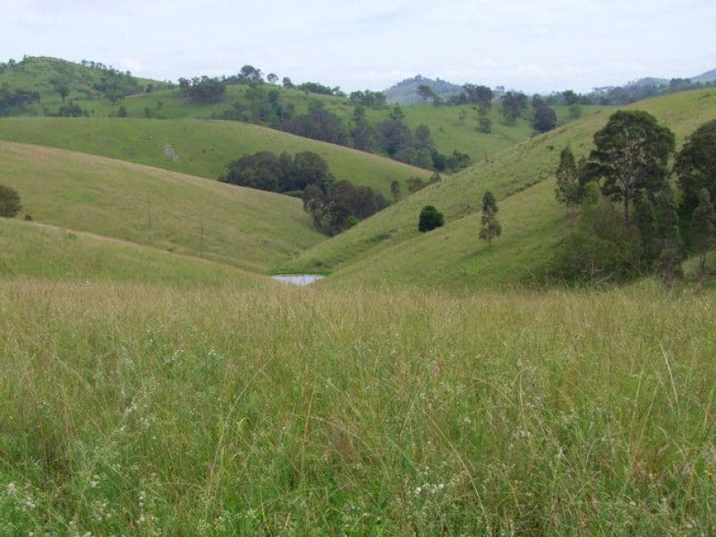 Singleton NSW 2330, Singleton - Thumbnail 4